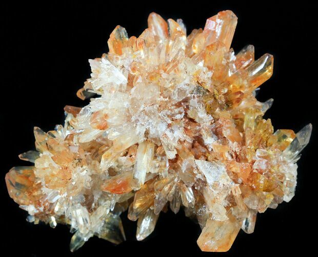 Orange Creedite Crystal Cluster - Durango, Mexico #51665